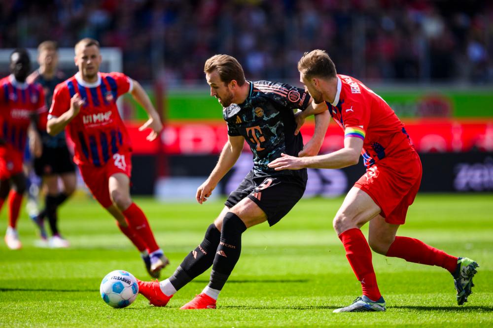 点开花的进 点开花的进